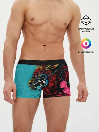 Мужские трусы боксеры / Дракон | Dragon