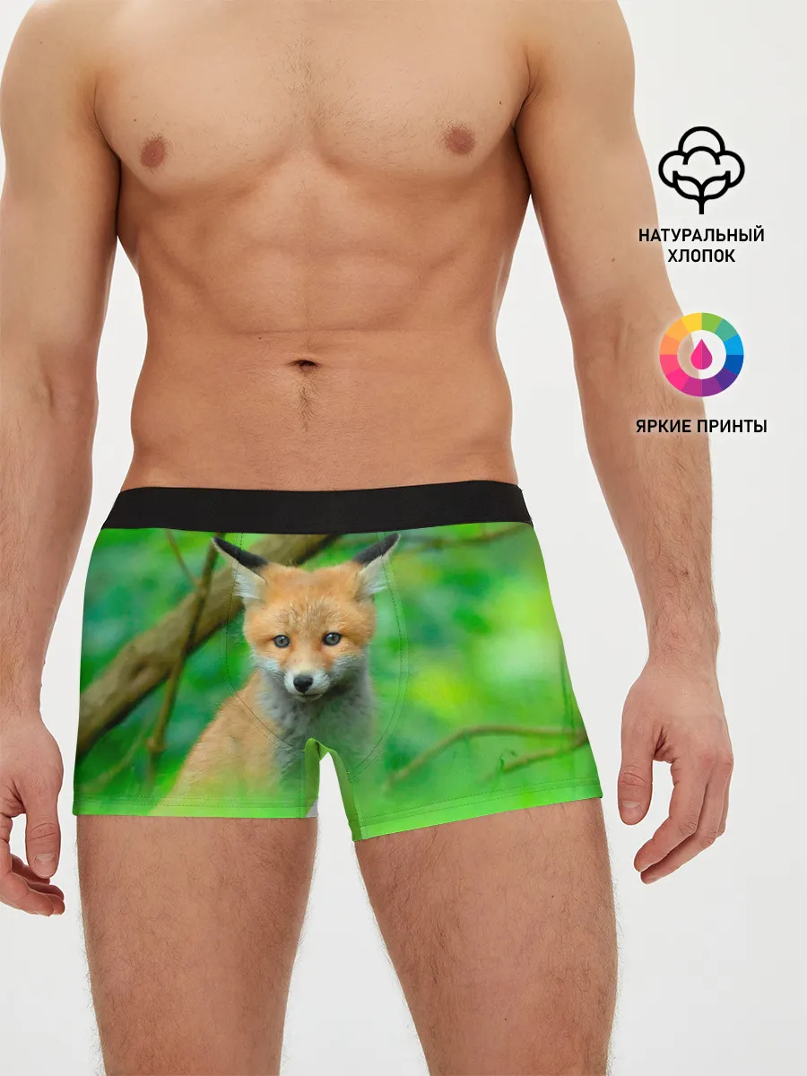 Мужские трусы боксеры / Лисенок в зеленом лесу