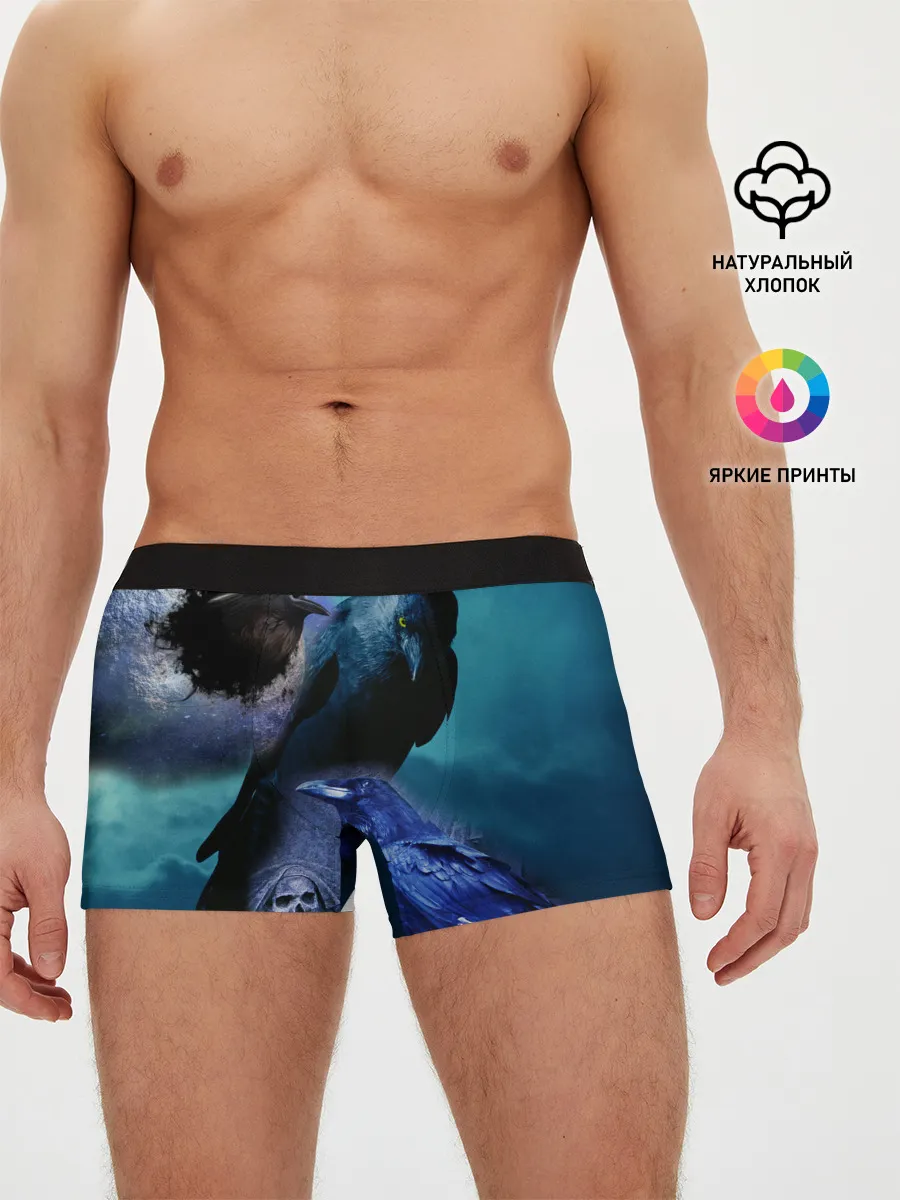 Мужские трусы боксеры / Мистические вороны | Crows