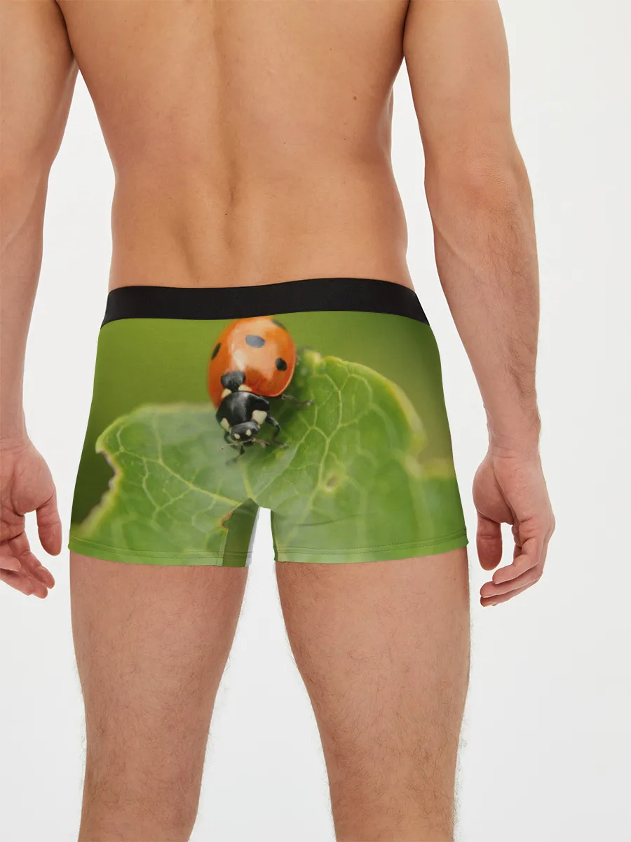 Мужские трусы боксеры / Божья коровка