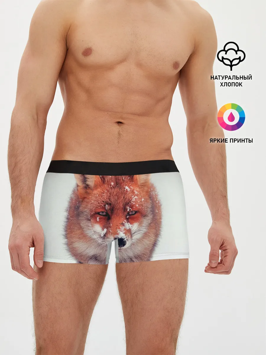 Мужские трусы боксеры / Лисица и снег