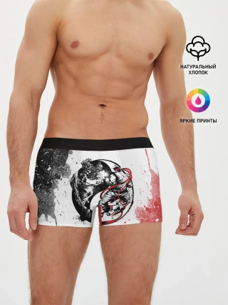 Мужские трусы боксеры / Ryu vs Akuma