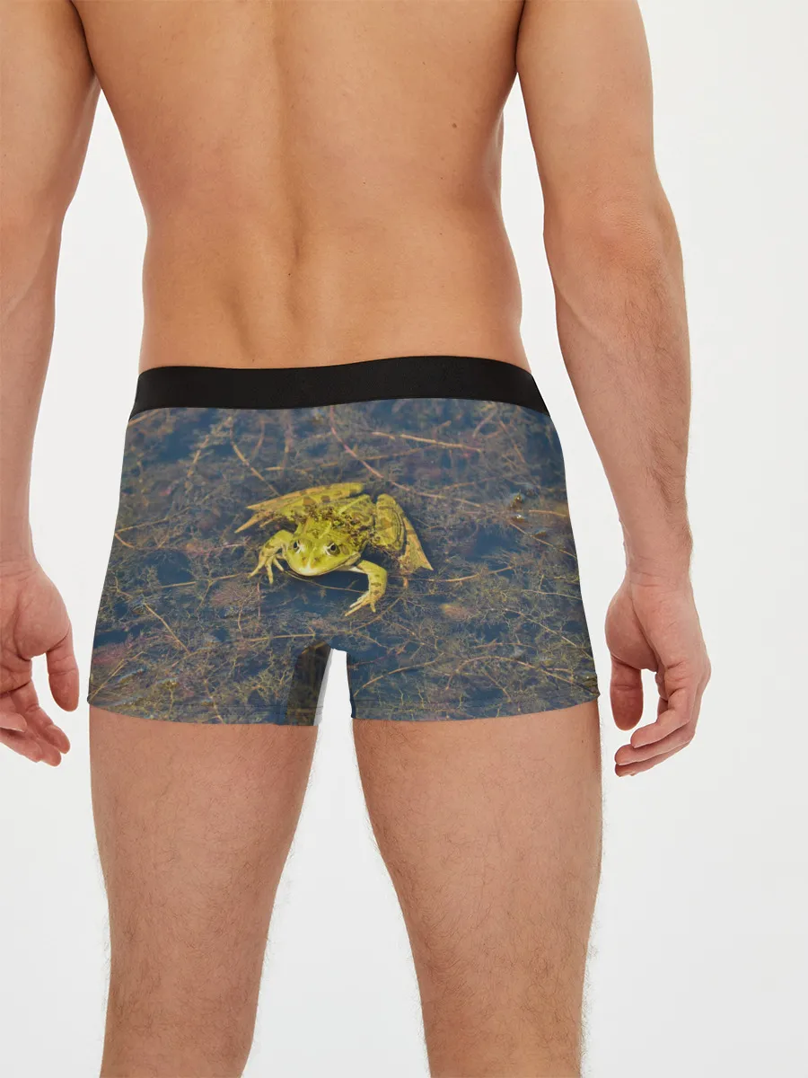 Мужские трусы боксеры / Лягушка
