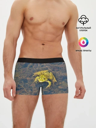 Мужские трусы боксеры / Лягушка