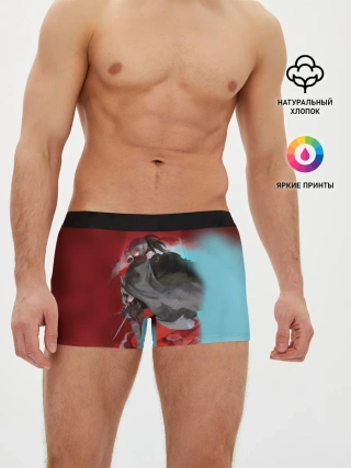 Мужские трусы боксеры / ХЯККИМАРУ | ДОРОРО | DORORO