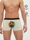 Мужские трусы боксеры / Spy