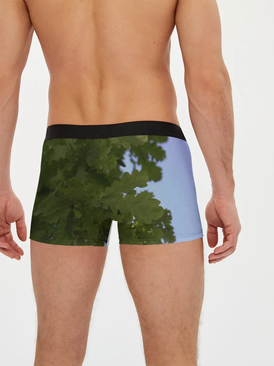 Мужские трусы боксеры / Летние дубы