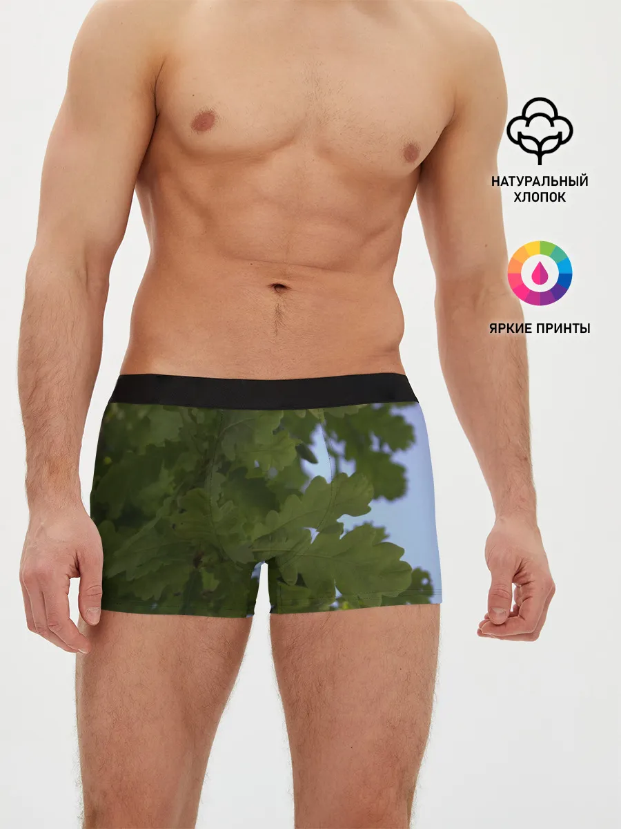 Мужские трусы боксеры / Летние дубы