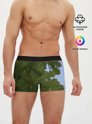 Мужские трусы боксеры / Летние дубы