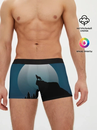 Мужские трусы боксеры / ВОЛК И ЛУНА 3D