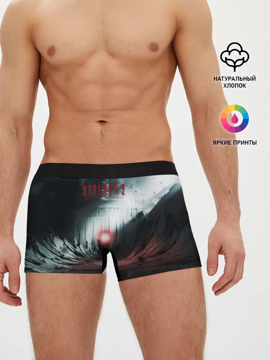Мужские трусы боксеры / Сердце Чернобыля