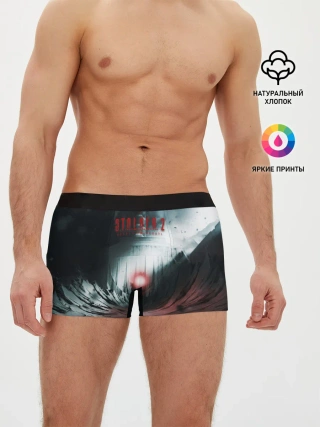 Мужские трусы боксеры / Сердце Чернобыля