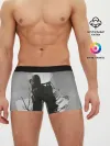 Мужские трусы боксеры / STALKER 2 Gray