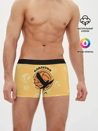 Мужские трусы боксеры / Старшая школа Карасуно Haikyu!