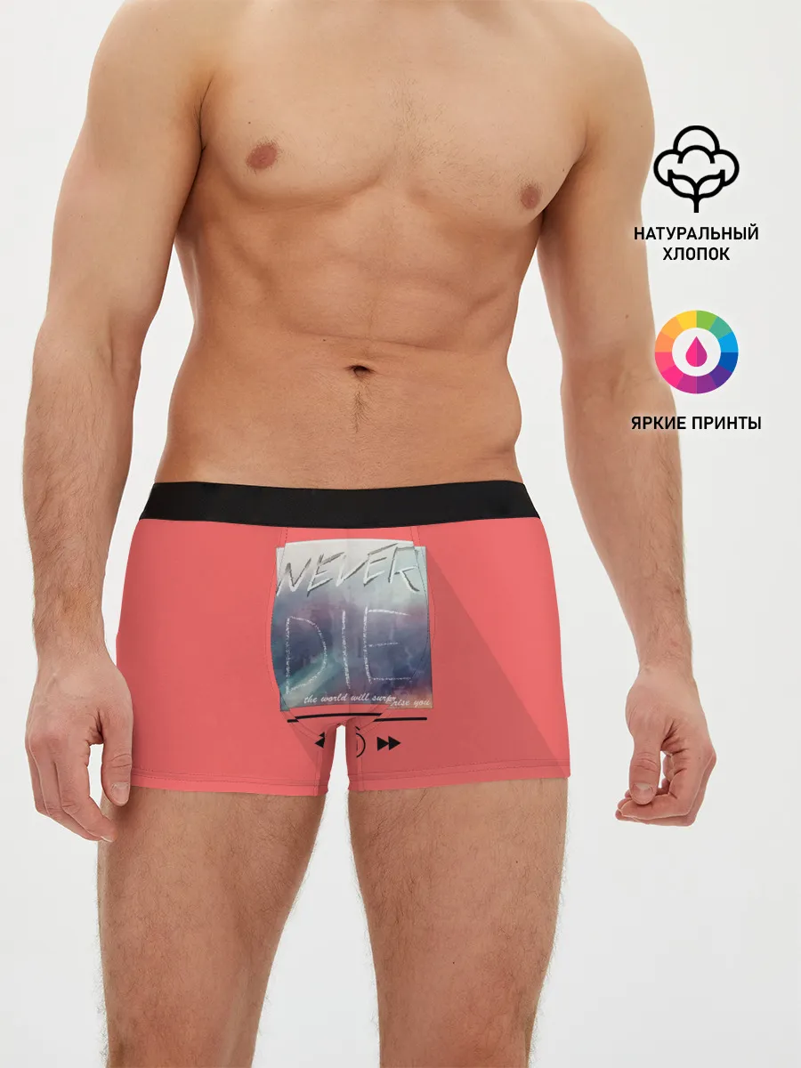 Мужские трусы боксеры / never die