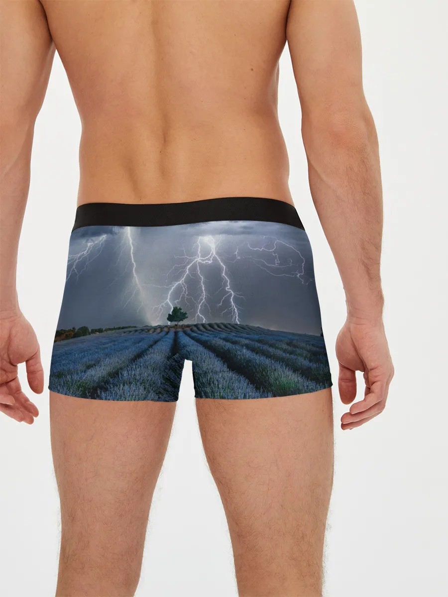 Мужские трусы боксеры / Молнии