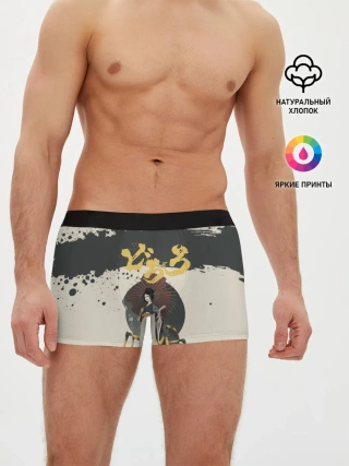 Мужские трусы боксеры / Dororo | Jorogumo