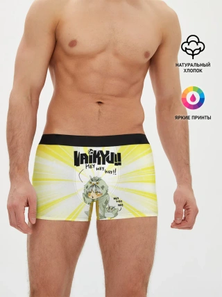 Мужские трусы боксеры / HEY HEY HEY Котаро Бокуто сова