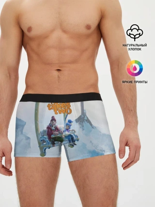 Мужские трусы боксеры / It Takes Two Коди и Мэй