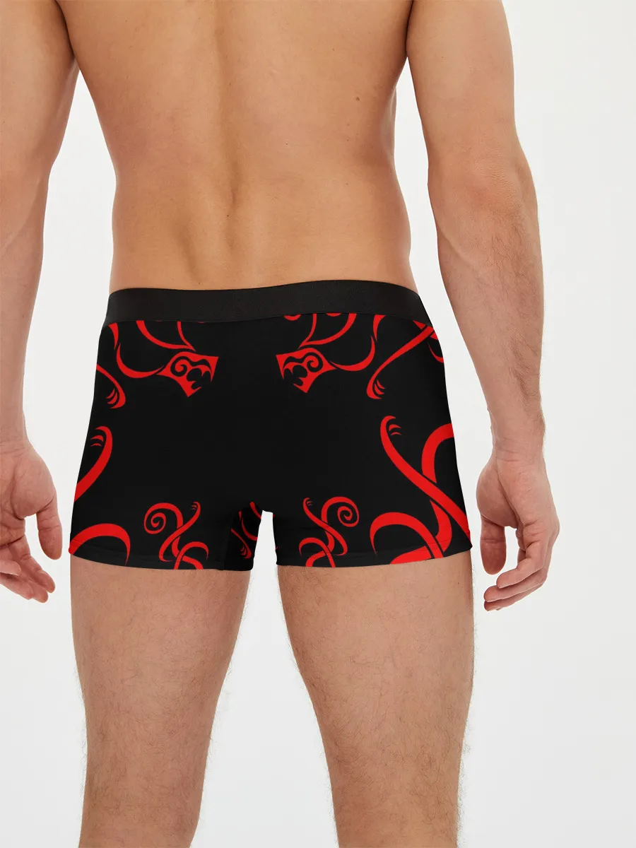 Мужские трусы боксеры / КЭН РЮГУДЗИ | ДРАКЕН