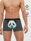 Мужские трусы боксеры / Панда Краски Брызги
