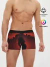 Мужские трусы боксеры / CP77 | Johnny
