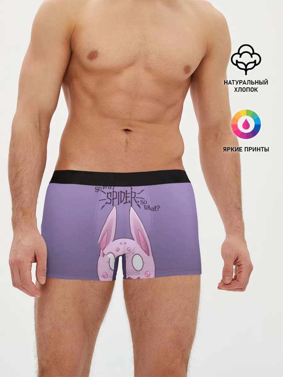 Мужские трусы боксеры / аниме Да, я паук, и что?