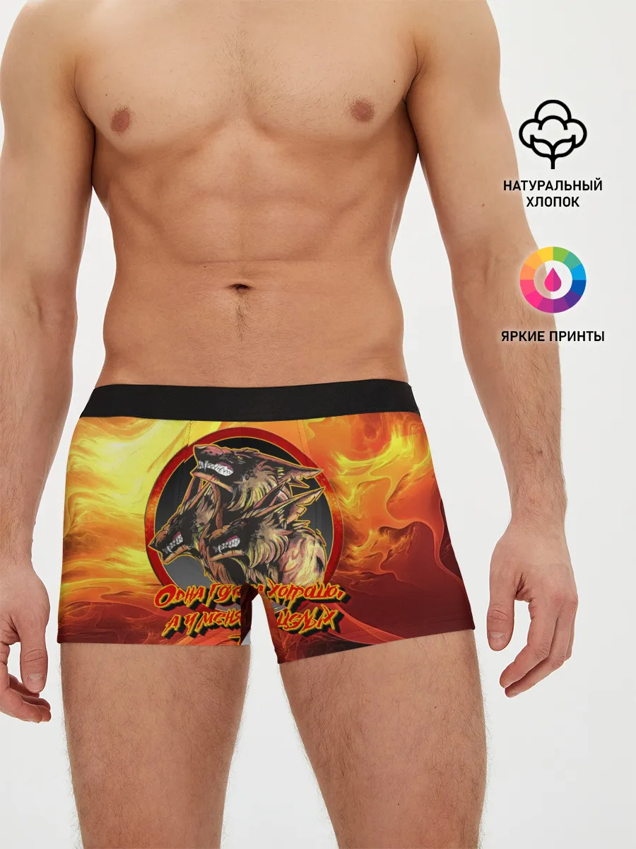 Мужские трусы боксеры / Страж Цербер