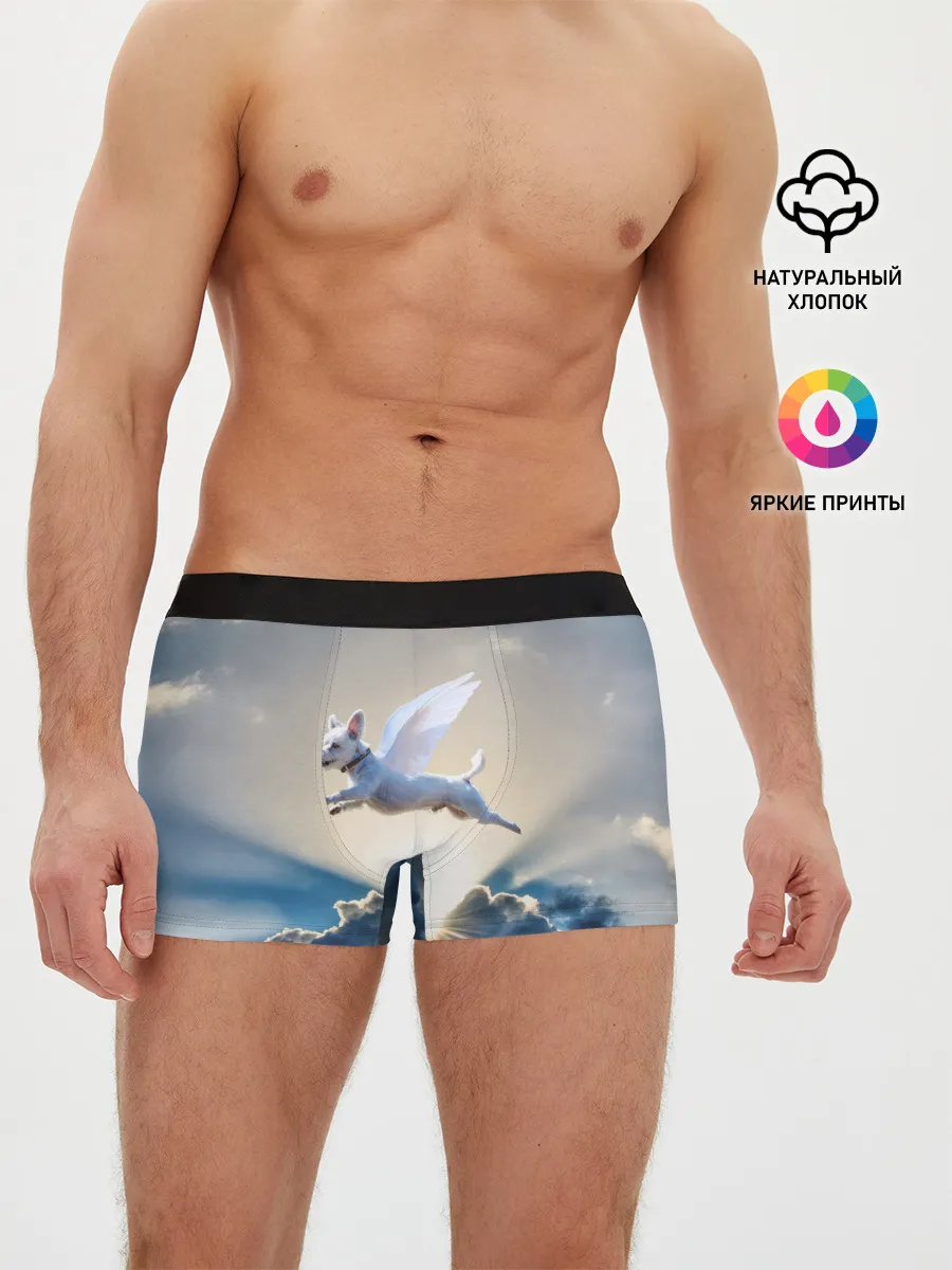 Мужские трусы боксеры / Ангельский пес