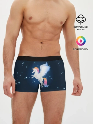 Мужские трусы боксеры / Милый пегас единорог с радужной гривой