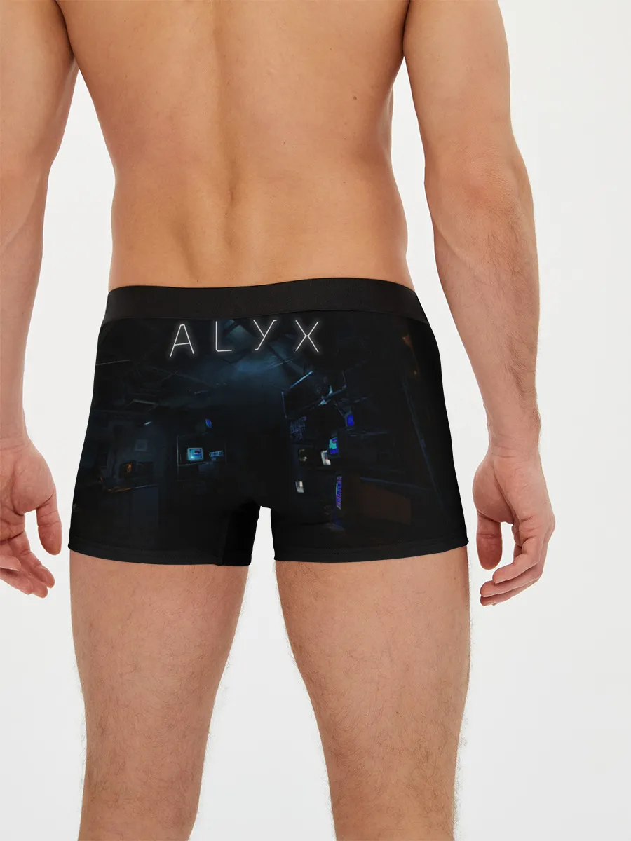 Мужские трусы боксеры / HL Alyx