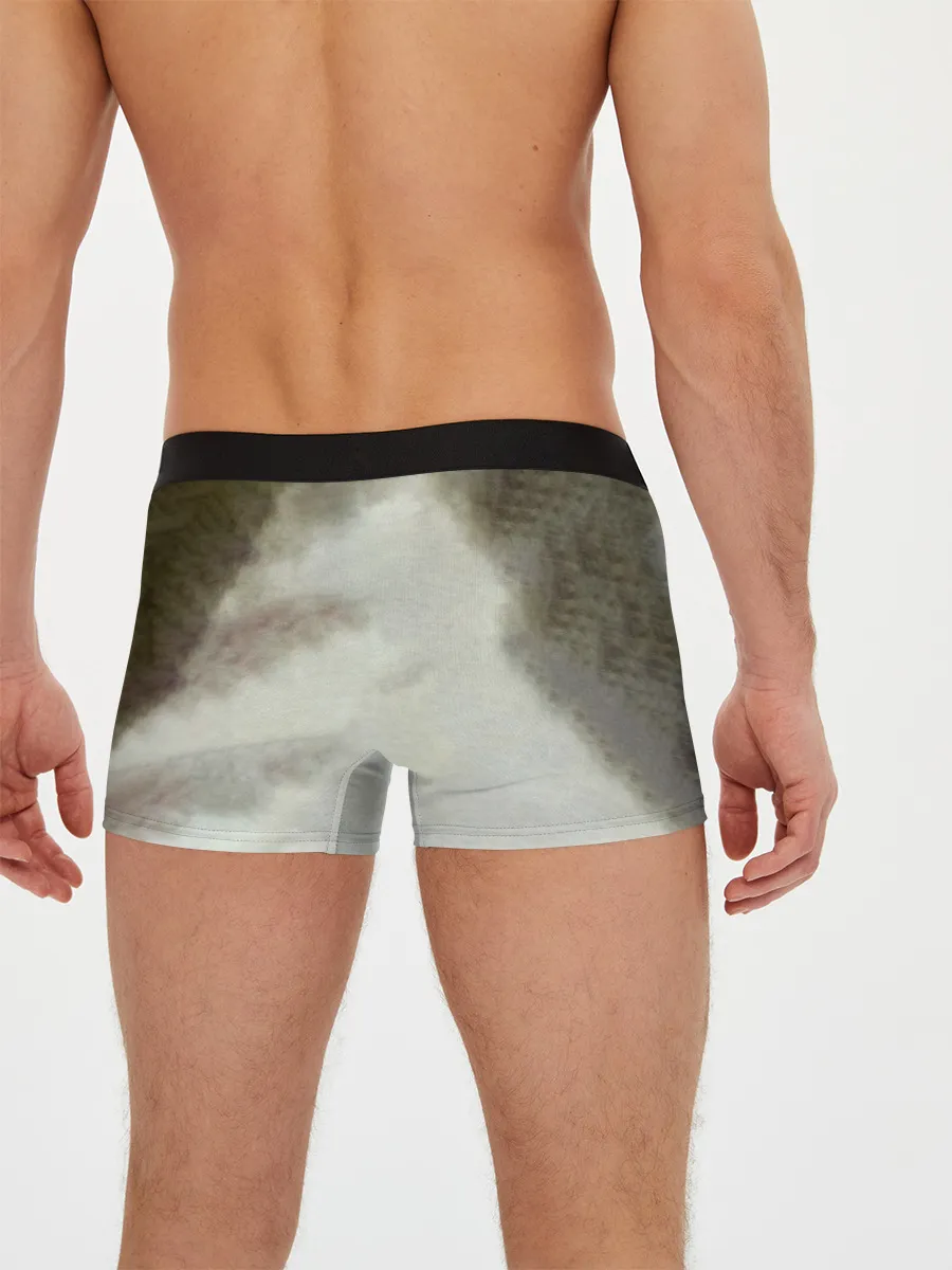 Мужские трусы боксеры / Sounds of a Playground Fading - In Flames