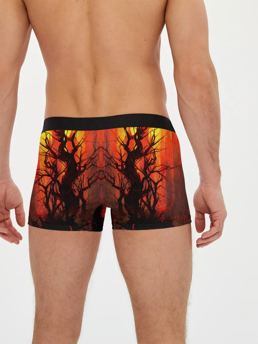 Мужские трусы боксеры / Колдунья со смычком