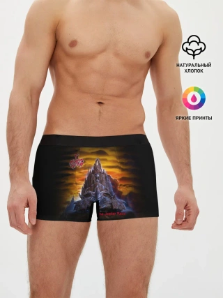 Мужские трусы боксеры / The Jester Race - In Flames