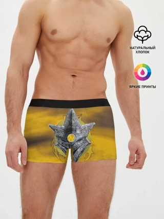 Мужские трусы боксеры / Black-Ash Inheritance - In Flames