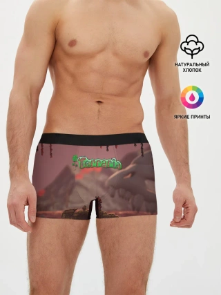 Мужские трусы боксеры / Terraria | Тэррария