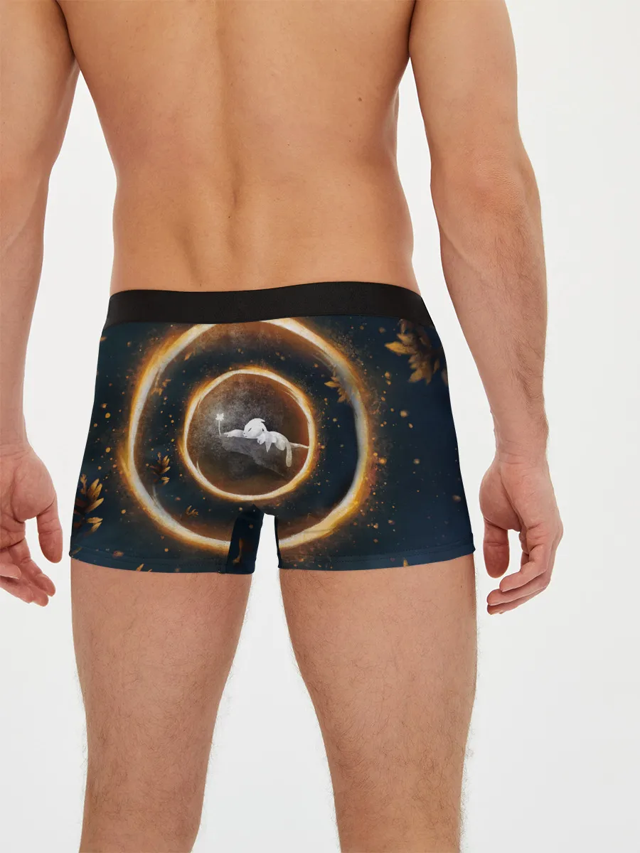 Мужские трусы боксеры / Ori and Flower