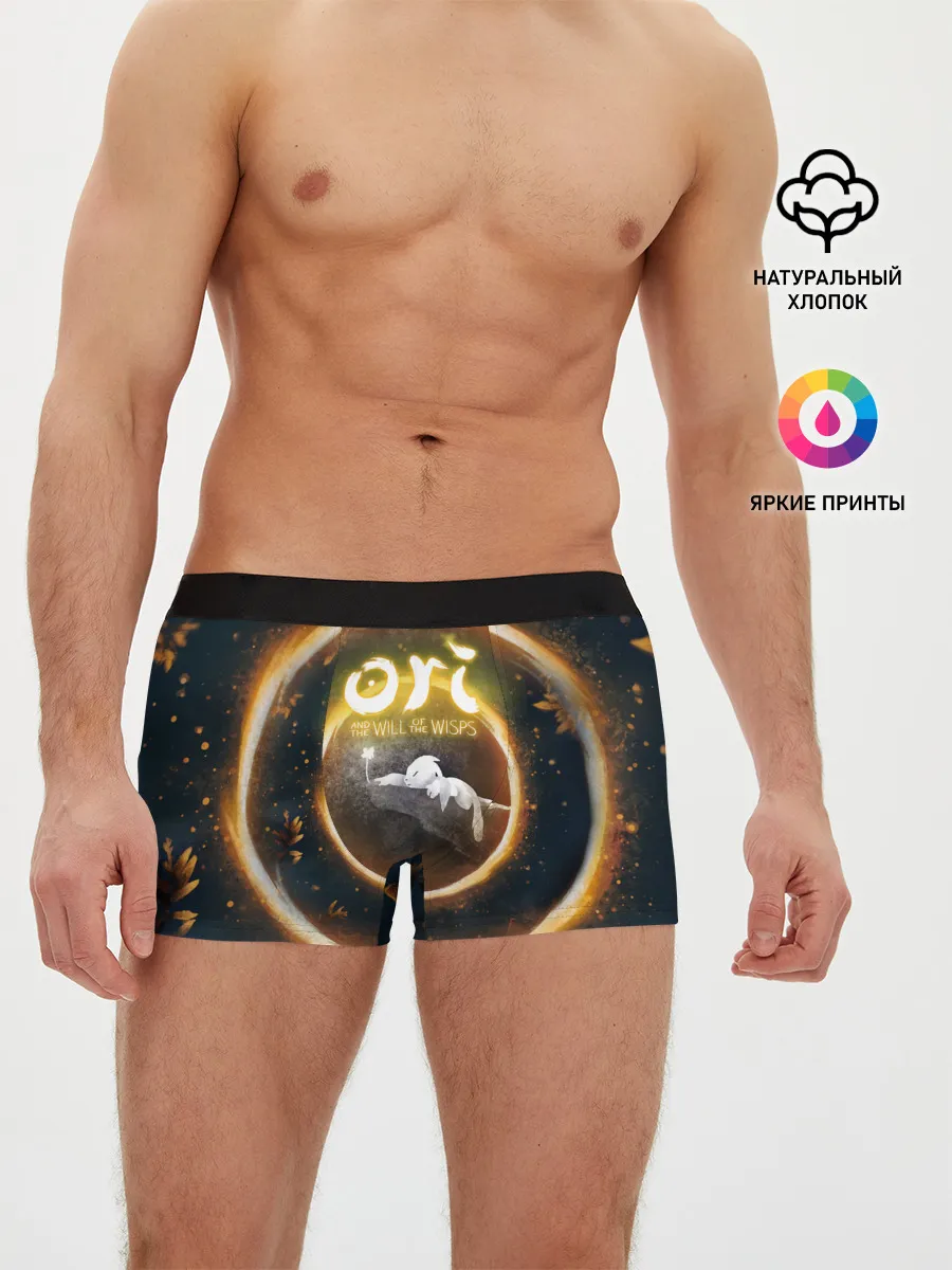 Мужские трусы боксеры / Ori and Flower
