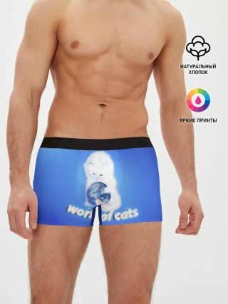Мужские трусы боксеры / World of Cats