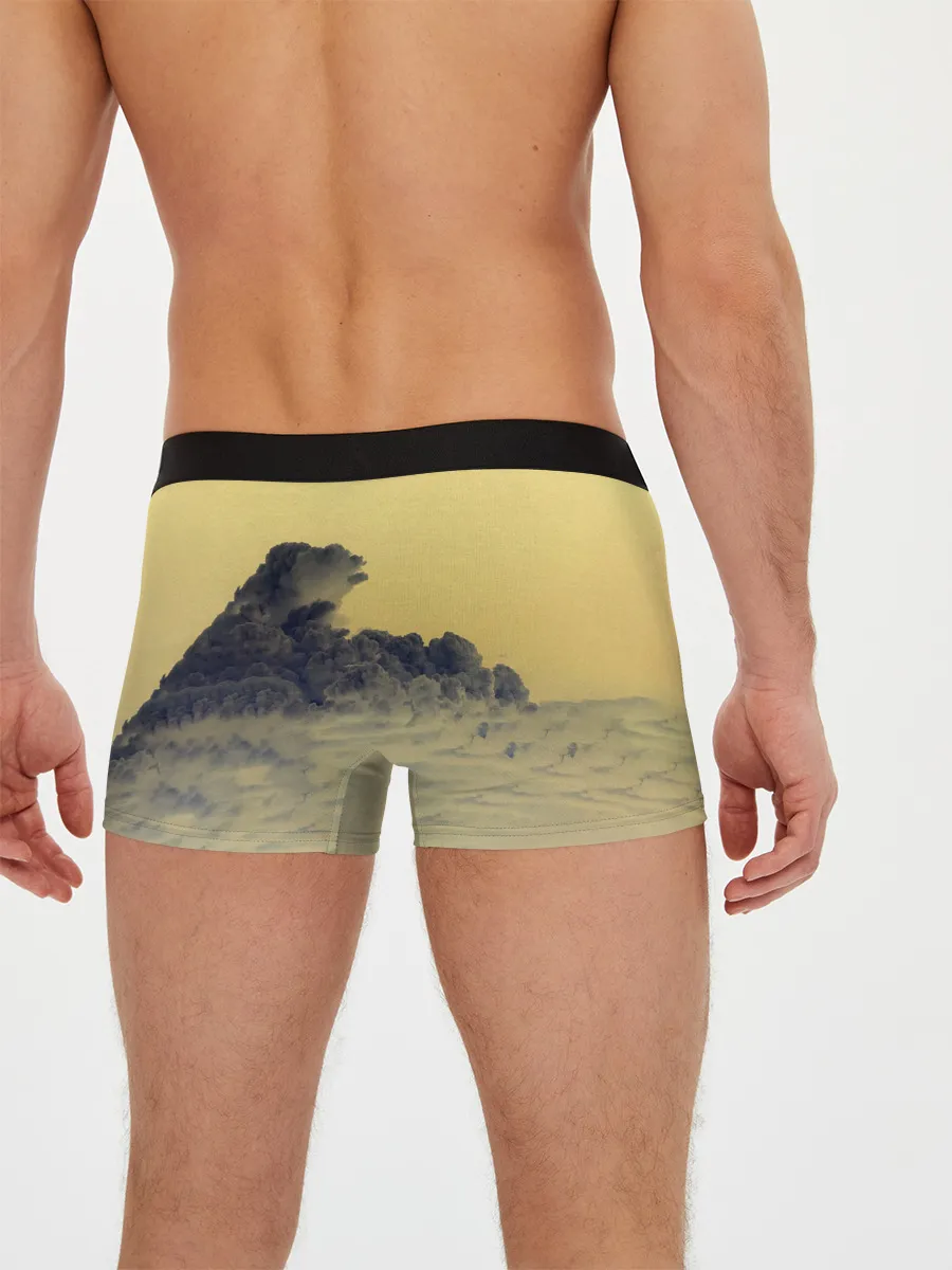 Мужские трусы боксеры / Its Time - Imagine Dragons