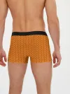 Мужские трусы боксеры / ORANGE ROPE HALLOWEEN