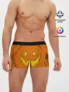 Мужские трусы боксеры / Костюм тыквы / Halloween