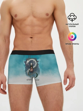 Мужские трусы боксеры / Каонаси и Хаку Унесённые призраками