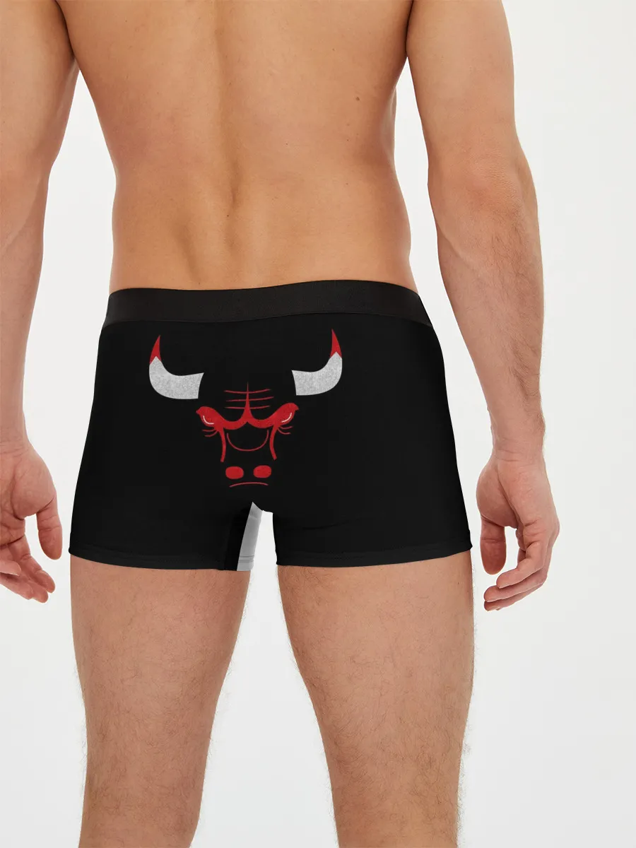 Мужские трусы боксеры / B.C. Chicago Bulls