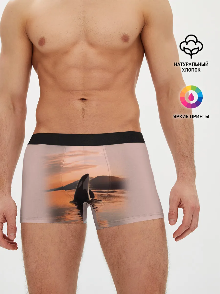 Мужские трусы боксеры / касатки на закате
