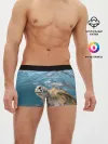 Мужские трусы боксеры / Морская черепаха