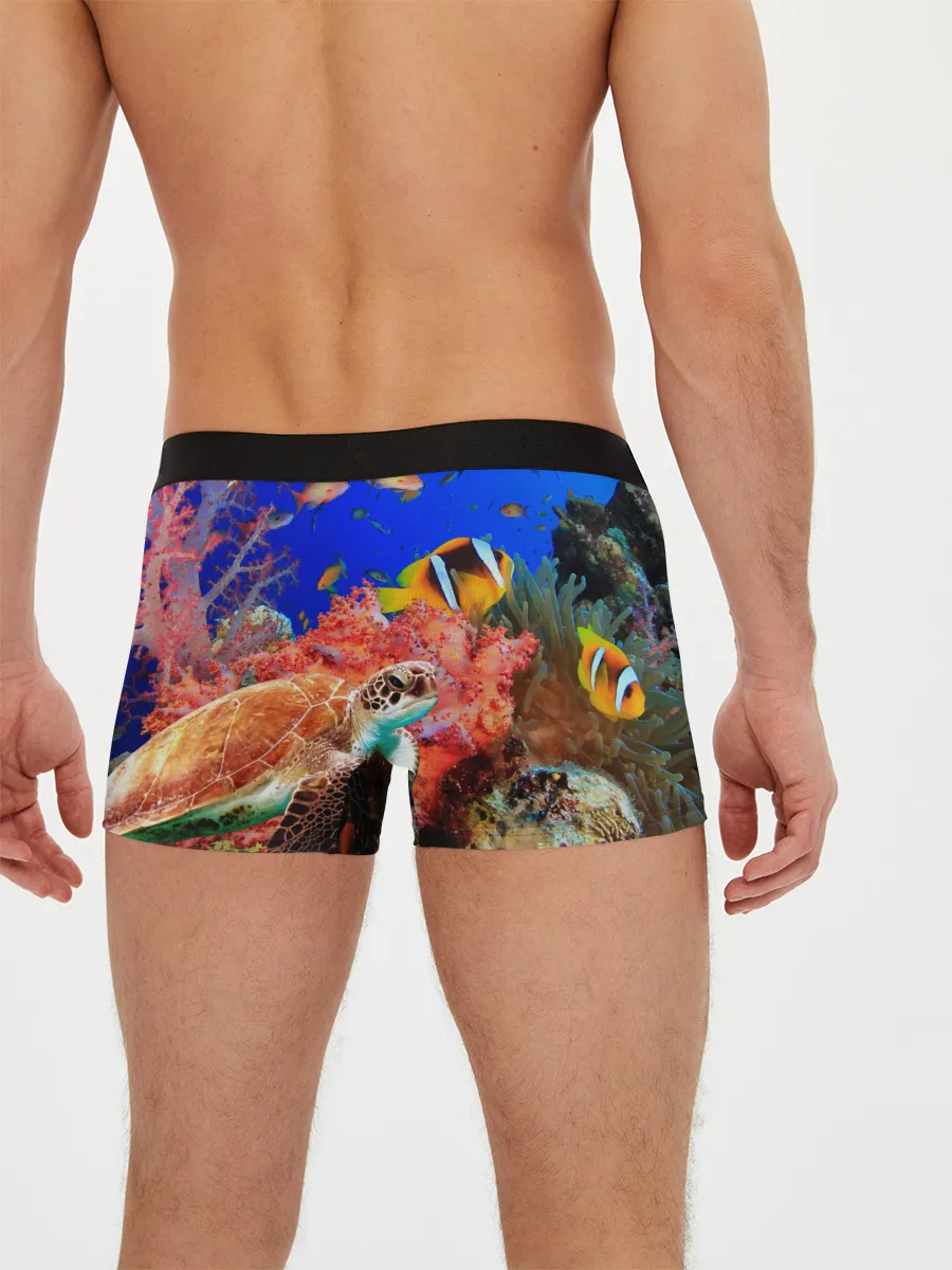 Мужские трусы боксеры / Морская черепаха