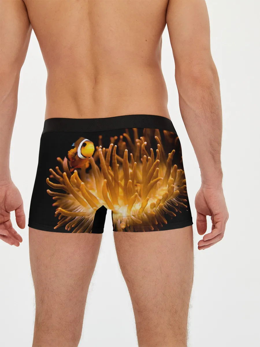 Мужские трусы боксеры / Клоуны в актинии