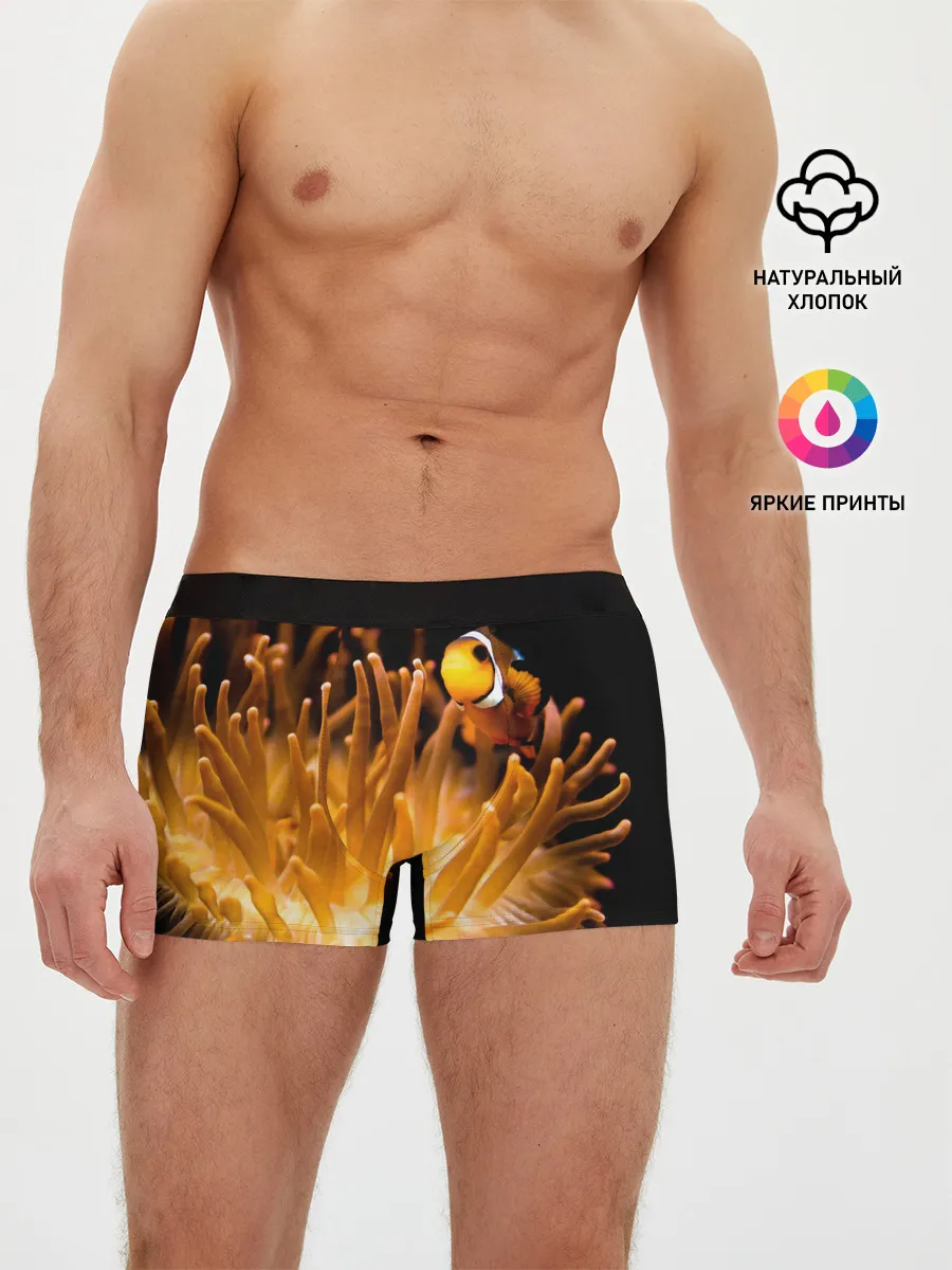 Мужские трусы боксеры / Клоуны в актинии