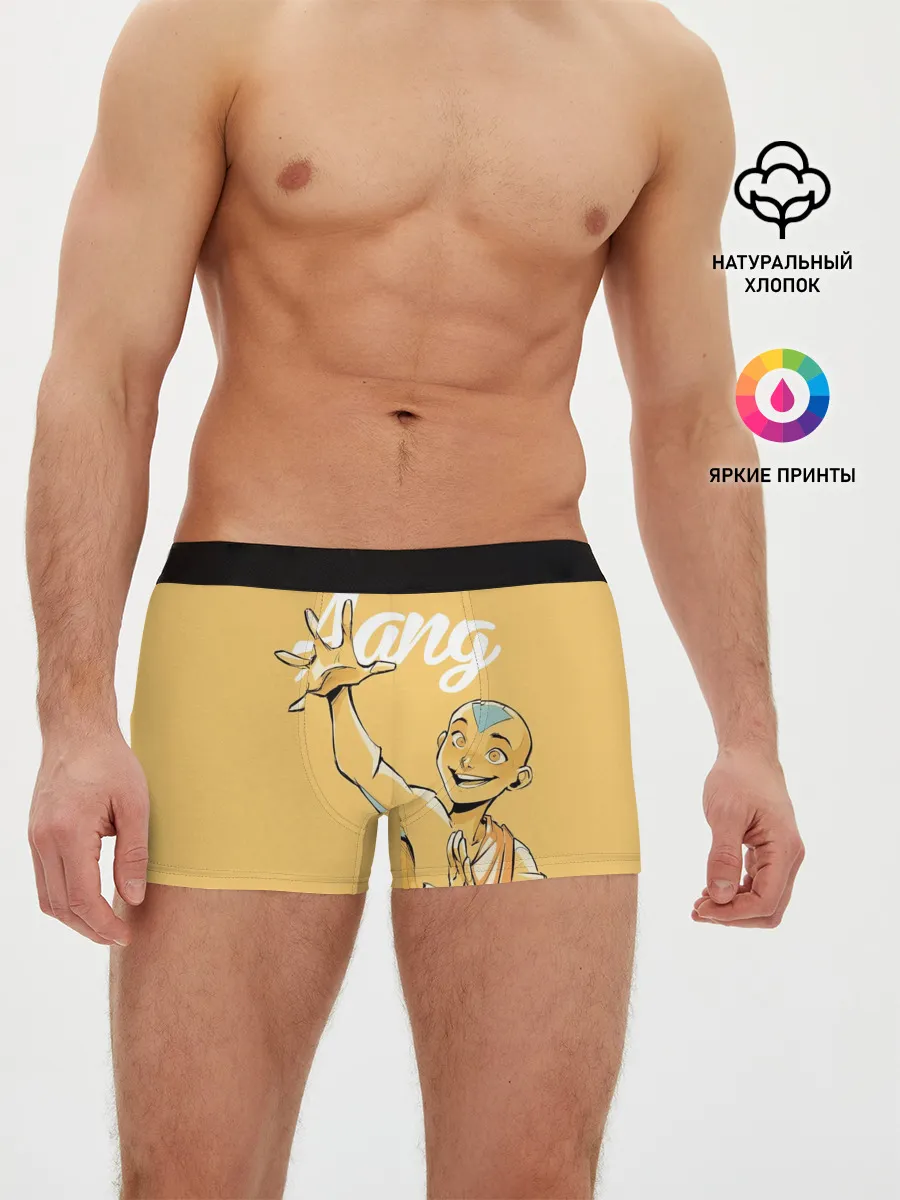 Мужские трусы боксеры / Aang last airbender